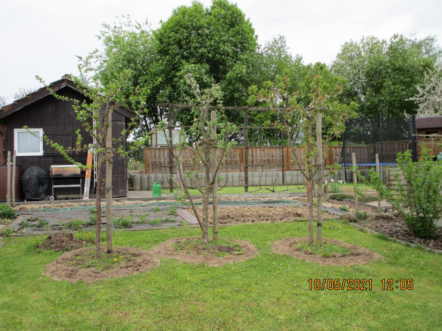 Produktbild von Geschenk Für Gartenfreunde: Obstpflücker … – Bild Kaufen – 12160093